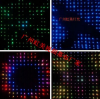 YY视频幕布YY直播背景墙视频布LED视频幕布KTV酒吧视频布dj打碟