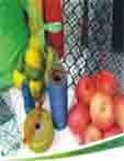 包装网袋 玩具网袋 水果网袋 工艺品网袋