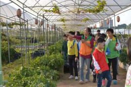 深圳农家乐旅游推荐乐湖生态园行程攻略