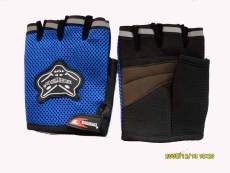 SGLV017 sport glove