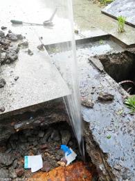 寧波水管查漏 嘉佰麗管道 地下管道測漏 相應國家號召已復工
