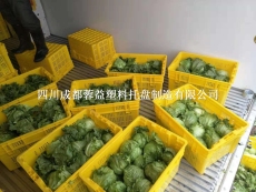 成都彭州塑料筐，彭州蔬菜水果筐