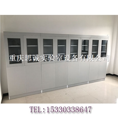定制各種鋼制實驗室家具全木藥品柜文件柜