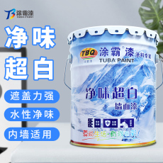 凈味環保墻面漆TB-1000 凈味超白乳膠漆工程