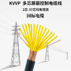 塑料绝缘控制电缆ZR-KVVP