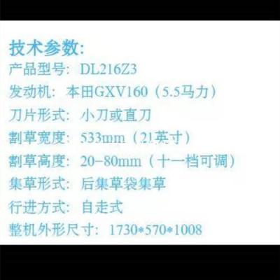 北京大隆DL216Z3自走式草坪剪草机GXV160发动机 21寸铝合金底盘