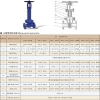 美标波纹管闸阀WZ41H