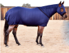 horse306 Horse Blanket