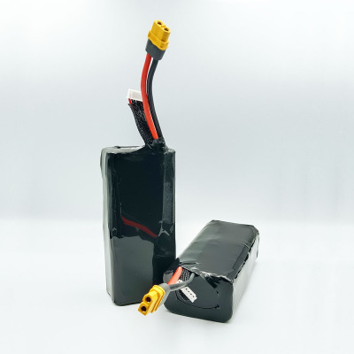 Molicel INR21700 P42A 6S2P 22.2V 8400mAh Battery Pack